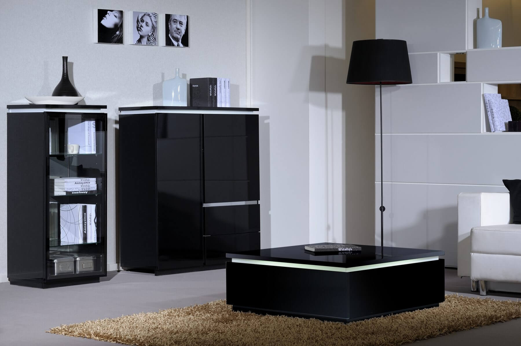 Logan High Gloss Black Coffee Table with Storage & Lights FADS