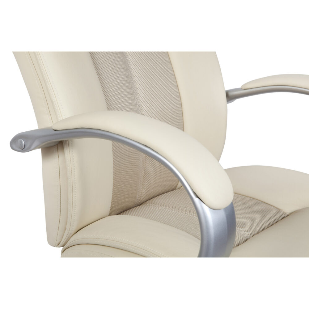 Executive Shiatsu Massage Chair 2