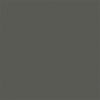 Space graphite grey colour swatch