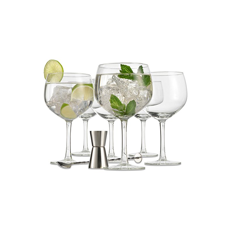 Gin Glass gift set