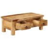 arden_grace_modern_2_drawer_solid_mango_wood_coffee_table__4