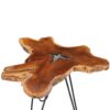 elnath_tripod_solid_teak_wood_top_with_polyresin_design_coffee_table__3
