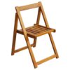 alrisha_solid_acacia_wood_folding_garden_chairs_-__set_of_2_2