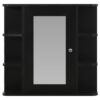 diadem_bathroom_mirror_cabinet_black_66x17x63_cm_8_compartments_4