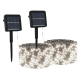 Solar Powered Lights