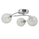 Indoor Ceiling Lights